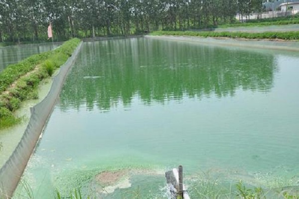 漁業(yè)養(yǎng)殖水質檢測